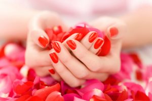 Female hands with red nails holding red and pink rose petals.